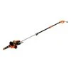 Black & Decker BECSP601 8 Amp 10 In. Corded 2-in-1 Pole Chainsaw -Sunex Sales Shop bdknbecsp601