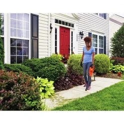 Black & Decker LSW221 20V MAX Lithium-Ion Cordless Sweeper Kit (1.5 Ah) 21 Black & Decker LSW221 20V MAX Lithium-Ion Cordless Sweeper Kit (1.5 Ah) -Sunex Sales Shop bdknlsw221 f